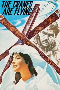Poster 53