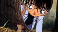 Setas, osos y la liga juvenil de detectives (2)