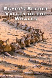 Egypt's Secret Valley of the Whales