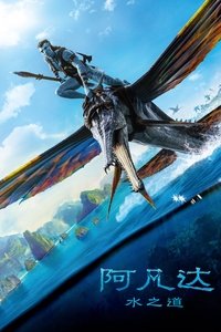 Poster 119