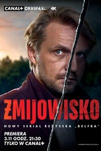 Poster for Limited Series