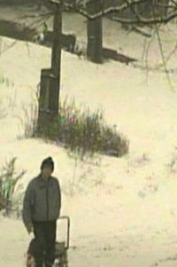 Poster for Reading "Chevengur"