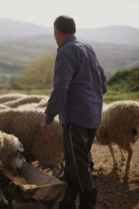 Poster for Plain Truth