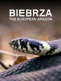 Biebrza: The European Amazon