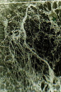 Poster for CLEARFILM