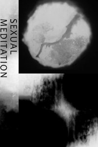 Poster for Sexual Meditation