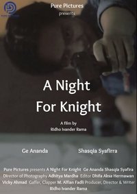 Poster for A Night For Knight