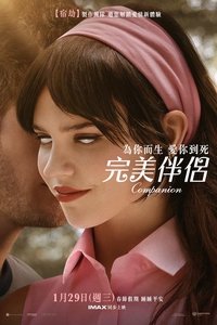 Poster 13