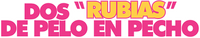 Logo 13