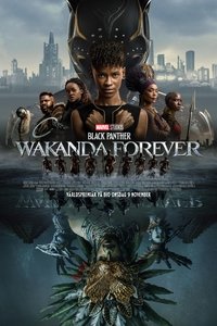 Poster 215