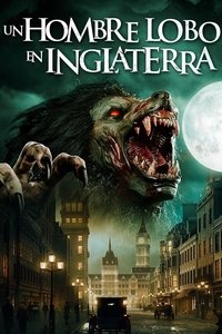 Poster 8