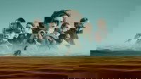 Backdrop 6