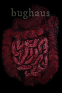 Poster for Bughaus