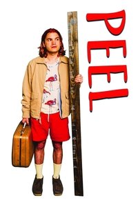 Poster 14