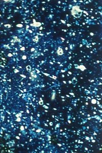 Poster for Ephemeral Solidity