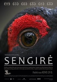 Poster 6