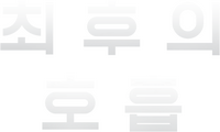 Logo 13