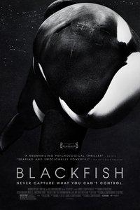 Poster 6