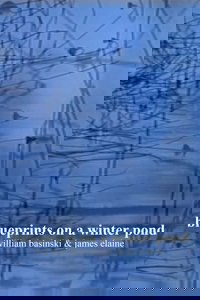 blueprints on a winter pond