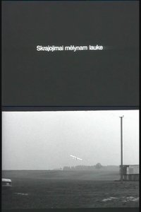 Poster for Flying Over the Blue Fields