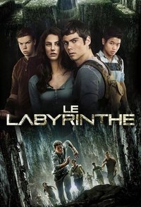 Poster 42