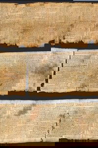 The Dead Sea Scrolls
