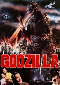Poster 15