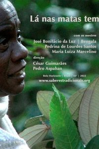 Poster for Lá nas Matas Tem