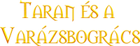 Logo 27