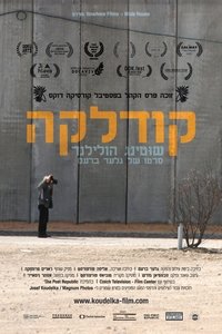 Poster 5