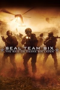 Poster 13