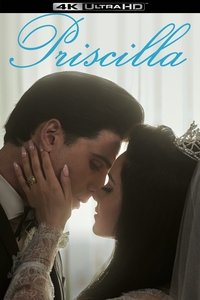 Poster 31