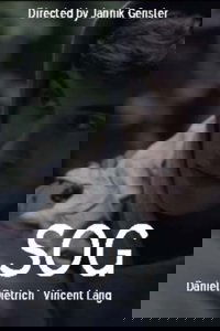 Sog