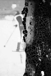 Poster for Black Snow