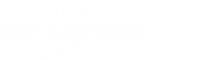 Logo 12