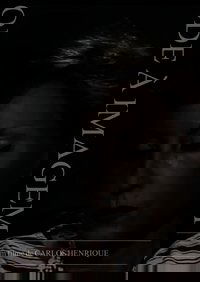 Ode à Imagem