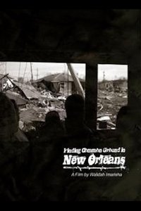 Poster for Finding Common Ground in New Orleans