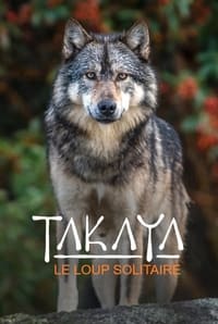 poster Takaya, le loup solitaire