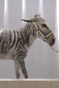 Poster for Bath Time