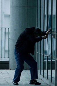 Poster for The Wayward Bird