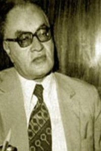 Profile of Abd El Rahman El Sharqawy