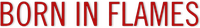 Logo 1