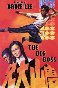 Poster 78