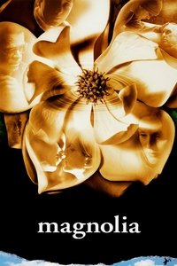 Poster 11