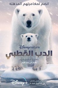 Poster 17