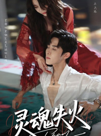 Poster for 灵魂失火