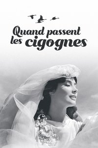 Poster 19
