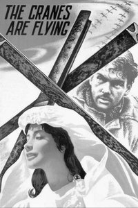 Poster 55