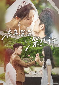 Poster for 流年深深深几许