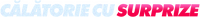 Logo 9
